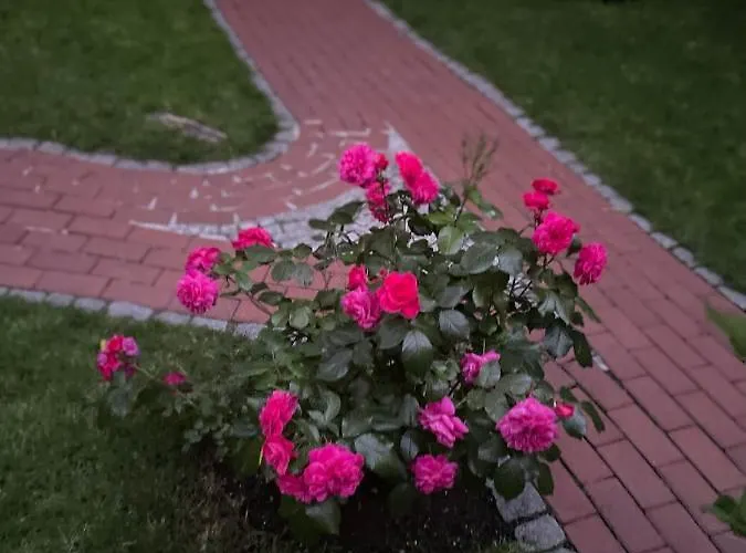 Direkt An Der Schelfkirche 公寓 *